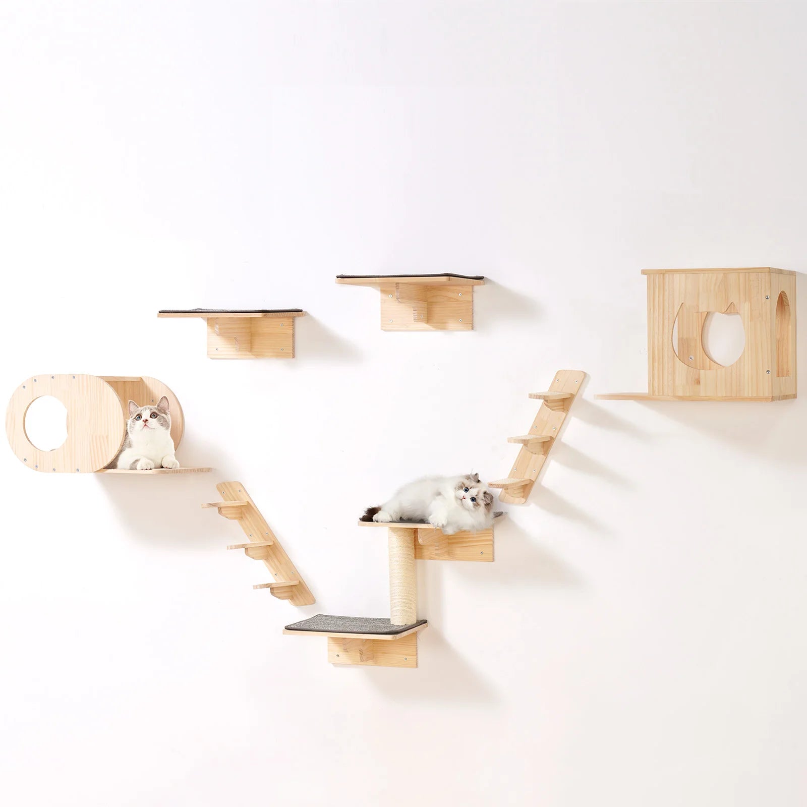 Wall Mounted Cat Shelves with Perches and Hammock
