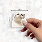 100-Pack Cute Cat Meme Stickers – Waterproof Vinyl Set
