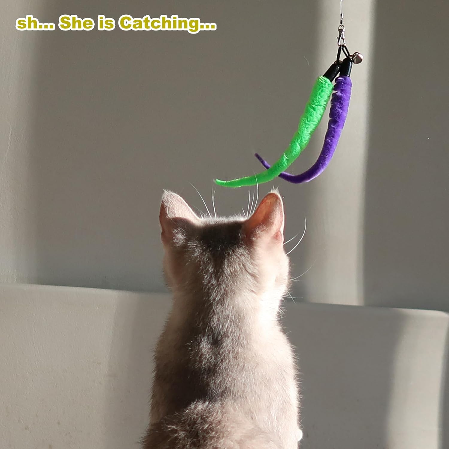 Interactive Cat Wand Toy Set – Telescopic Teaser With Feathers
