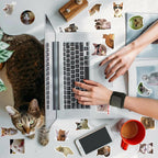 100-Pack Cute Cat Meme Stickers – Waterproof Vinyl Set