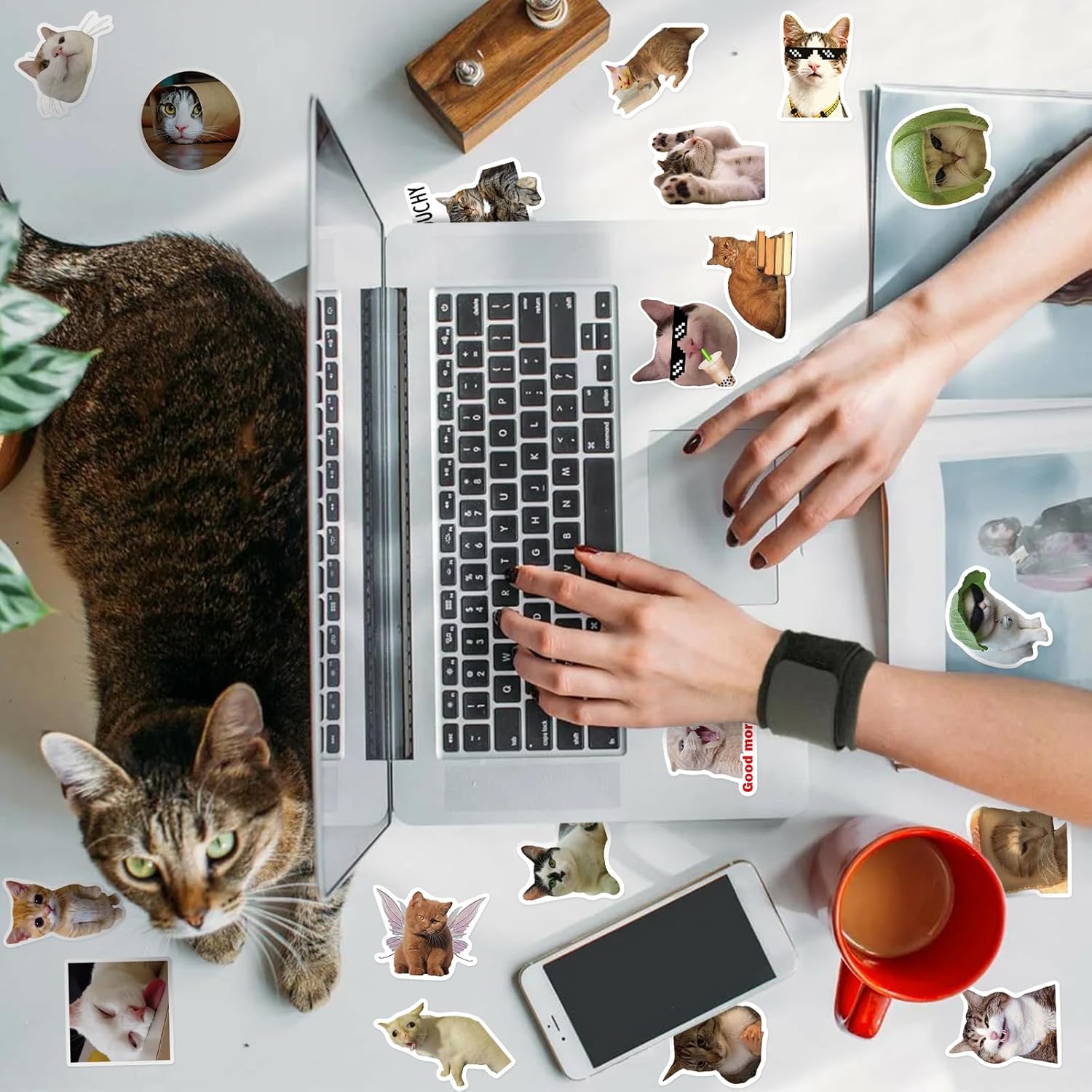 100-Pack Cute Cat Meme Stickers – Waterproof Vinyl Set