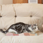 Reversible Cardboard Cat Scratcher with Catnip