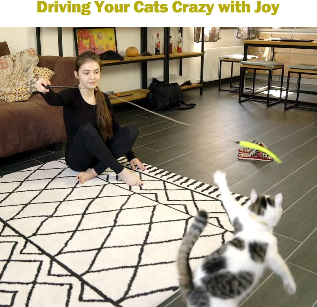 Interactive Cat Wand Toy Set – Telescopic Teaser With Feathers