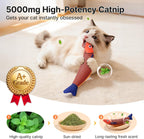 Catnip Fish Kicker Toys – Soft Plush Crinkle 3-Pack