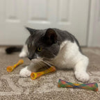 Catnip Mesh Spring Tubes Cat Toy Set – 3 Bouncy Pieces