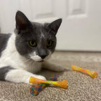 Catnip Mesh Spring Tubes Cat Toy Set – 3 Bouncy Pieces