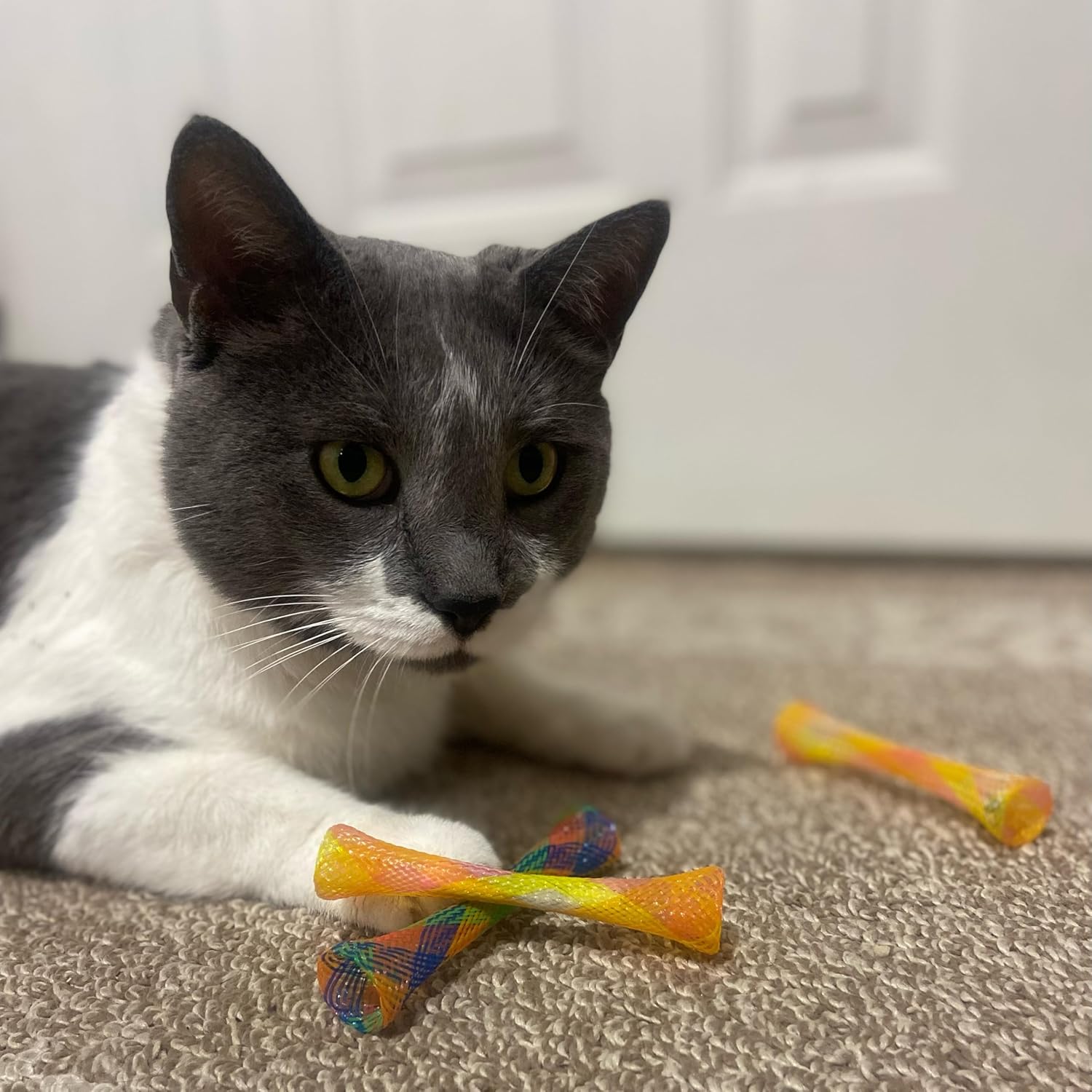 Catnip Mesh Spring Tubes Cat Toy Set – 3 Bouncy Pieces