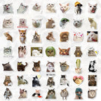 100-Pack Cute Cat Meme Stickers – Waterproof Vinyl Set
