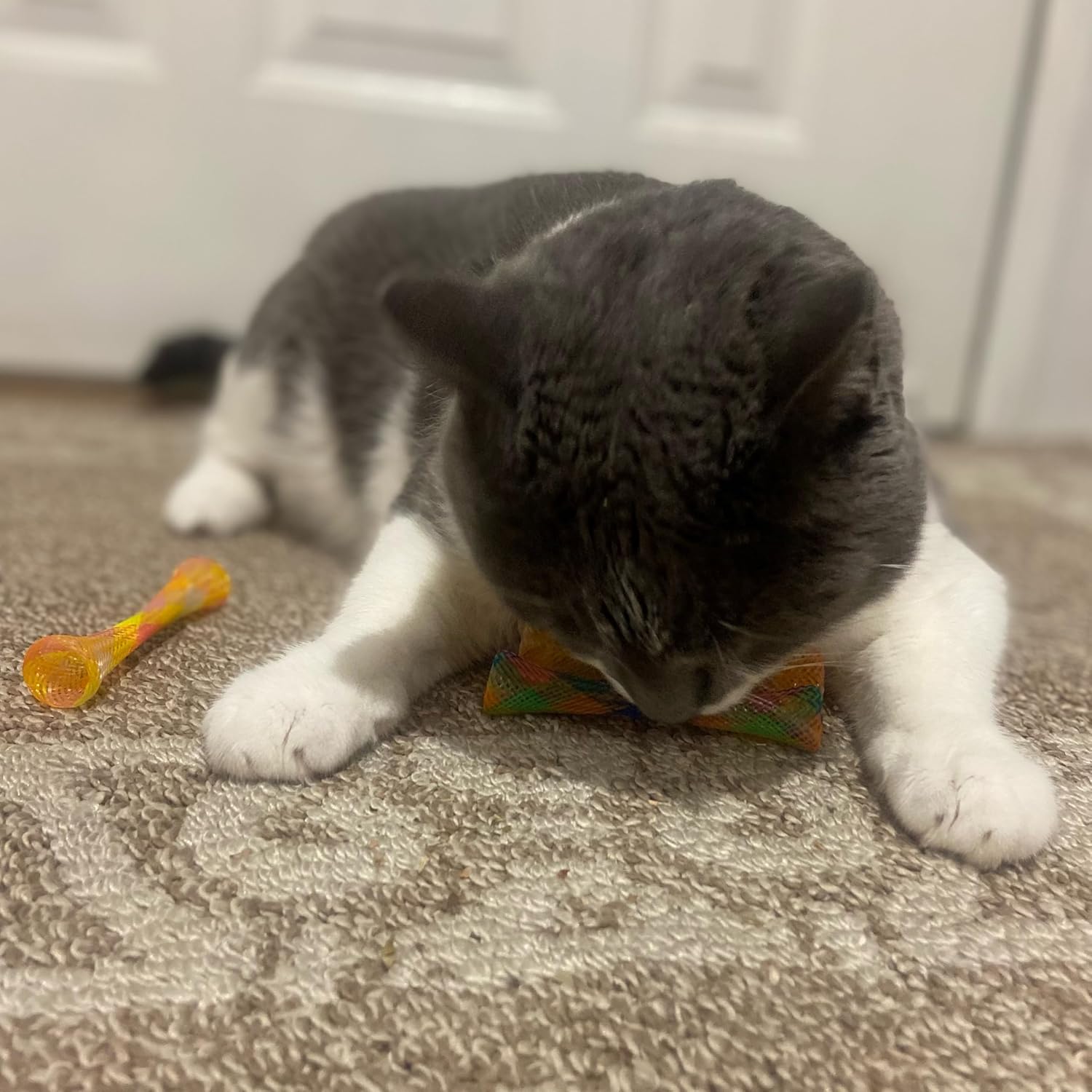 Catnip Mesh Spring Tubes Cat Toy Set – 3 Bouncy Pieces