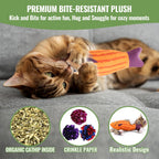 Cat Toy Variety Pack – 20-Piece Interactive Play Set