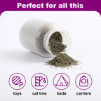 Silvervine Powder for Cats – Stimulating Cat Treat