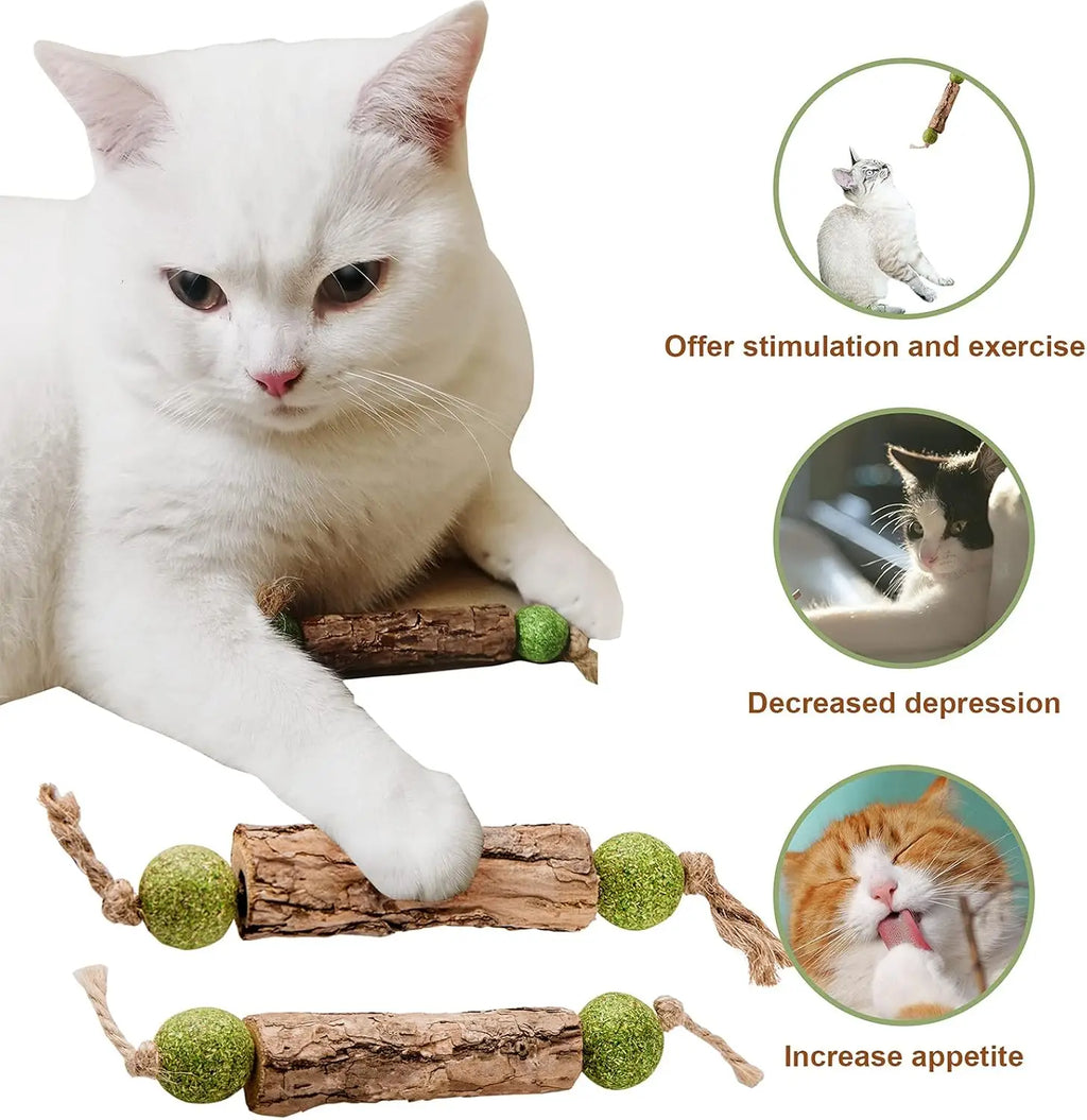 Natural Catnip Molar Stick Cat Tooth Cleaning Treat