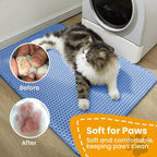 Double-Layer Cat Litter Mat – Non-Slip, Waterproof Design