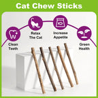 Silvervine Cat Chew Sticks – Natural Teething & Play Toys