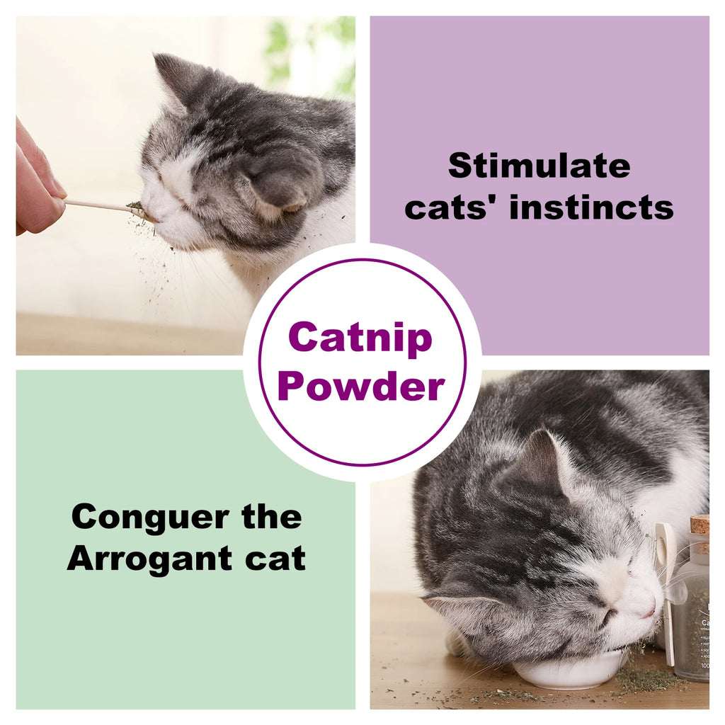 Silvervine Powder for Cats – Stimulating Cat Treat