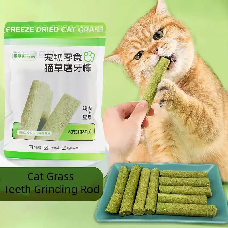 Cat Grass Teething Sticks Chew Toy for Dental Care