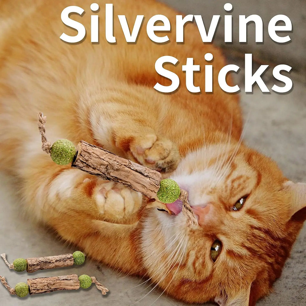 Natural Catnip Molar Stick Cat Tooth Cleaning Treat
