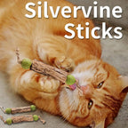 Natural Catnip Molar Stick Cat Tooth Cleaning Treat