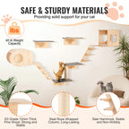 Wall Mounted Cat Shelves with Perches and Hammock