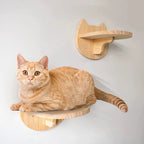 Wall Mounted Cat Climbing Shelf With Sisal Steps