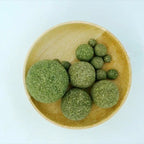Edible Catnip Ball Toy for Cats – Teeth Cleaning Fun