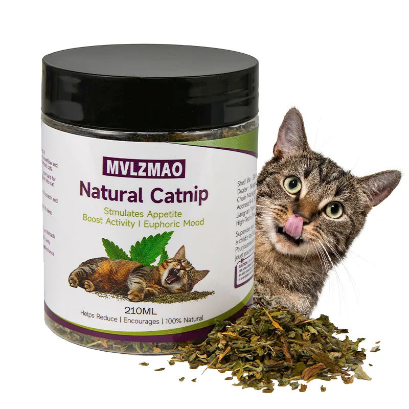 Natural Silvervine Catnip Loose Leaf Cat Toy Treat