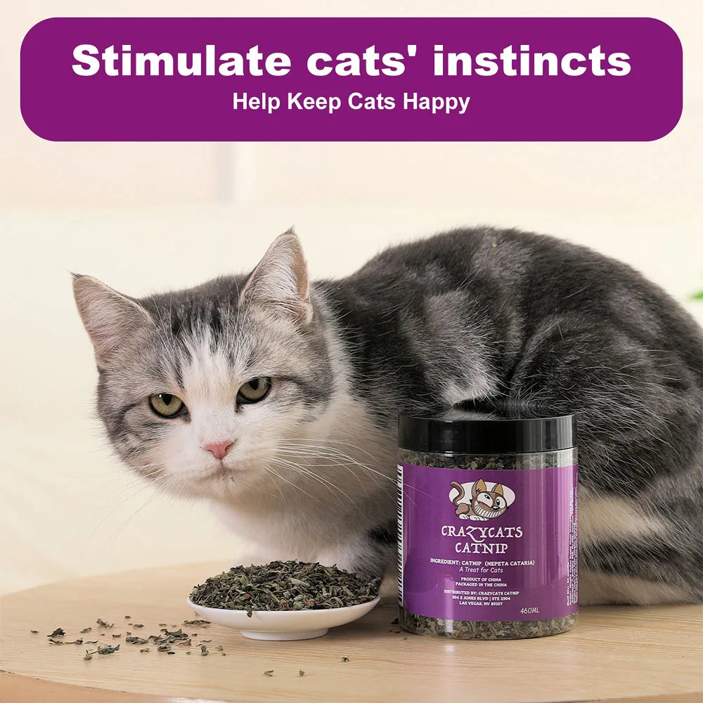 Natural Catnip Interactive Toy For Cats And Kittens