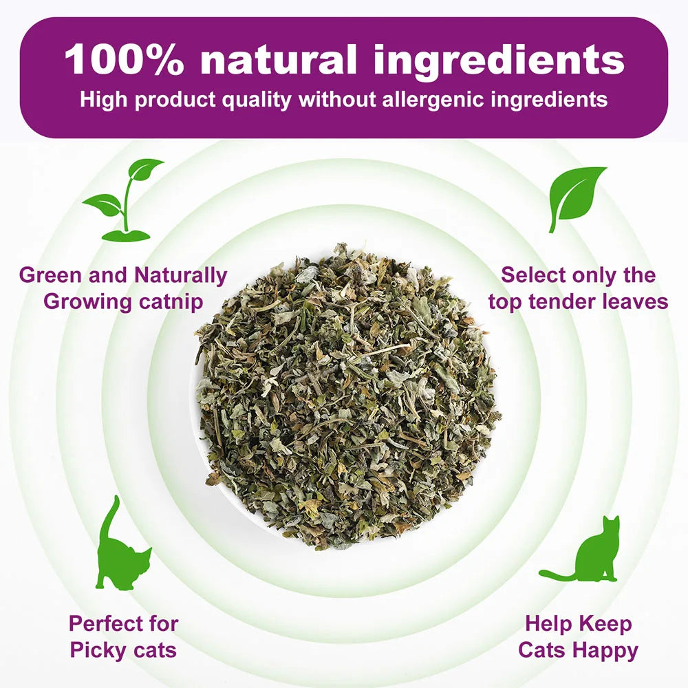 Natural Catnip Interactive Toy For Cats And Kittens
