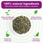 Natural Catnip Interactive Toy For Cats And Kittens