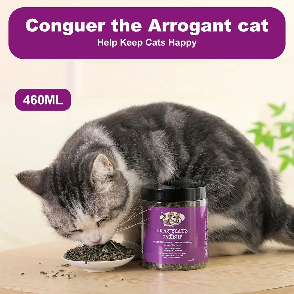 Natural Catnip Interactive Toy For Cats And Kittens