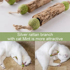 Natural Catnip Molar Stick Cat Tooth Cleaning Treat