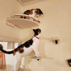 Wall Mounted Cat Climbing Shelf With Sisal Steps