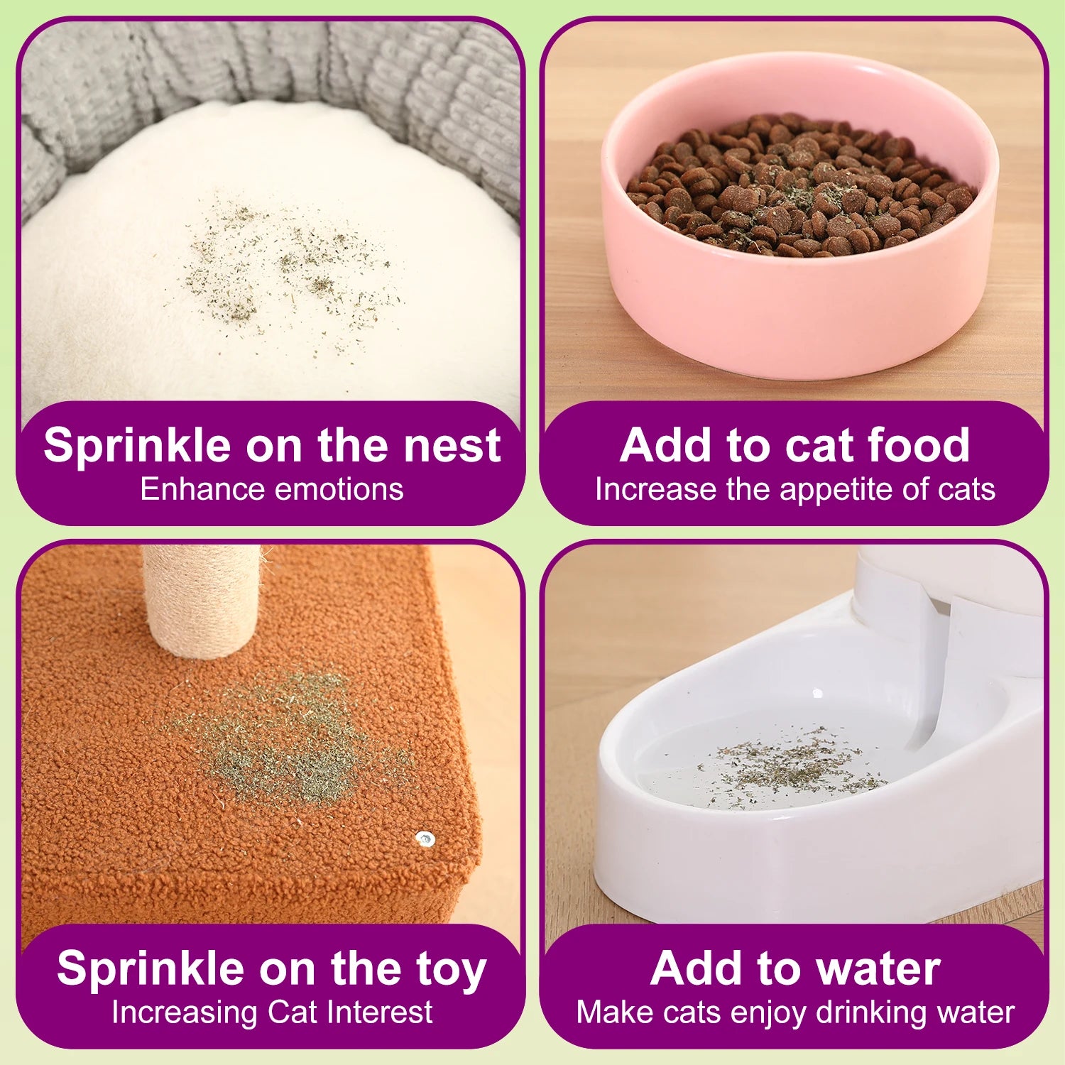 Silvervine Powder for Cats – Stimulating Cat Treat