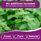 Natural Catnip Interactive Toy For Cats And Kittens