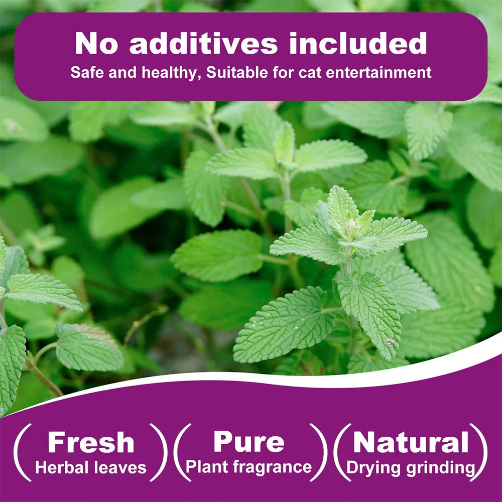 Natural Catnip Interactive Toy For Cats And Kittens