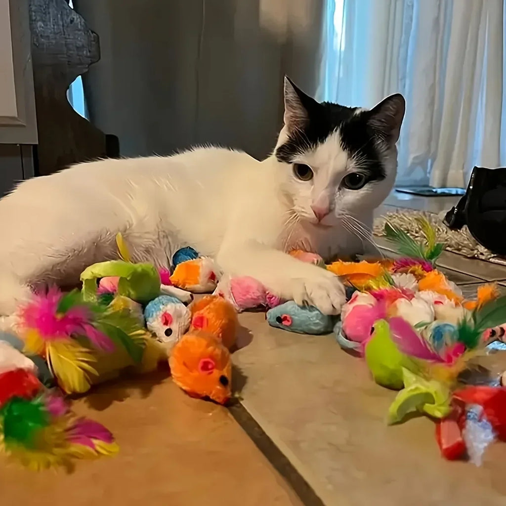 Mixed Cat Toy Variety Pack – Plastic and Plush Play Set