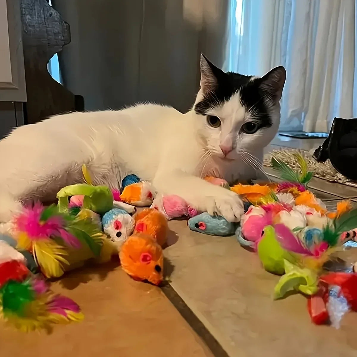 Mixed Cat Toy Variety Pack – Plastic and Plush Play Set