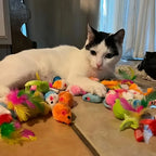 Mixed Cat Toy Variety Pack – Plastic and Plush Play Set